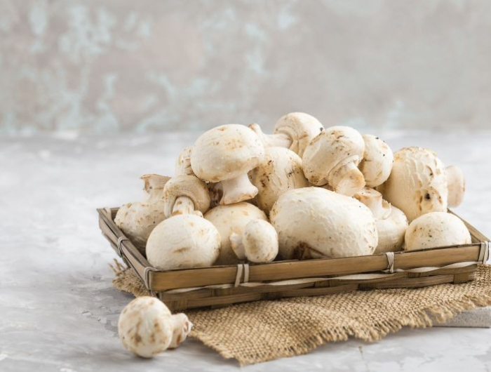 comment cultiver champignons de paris