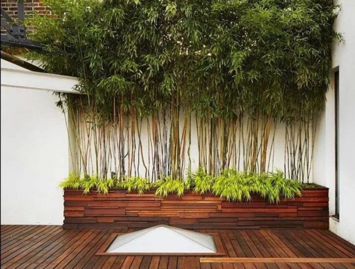 comment cultiver le bambou en pot des bambous en haie pot et terasse en bois