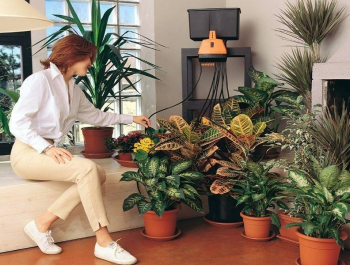 comment faire pour arroser ses plantes quand on part en vacances plusieurs pots de differentes plantes soignes par une femme