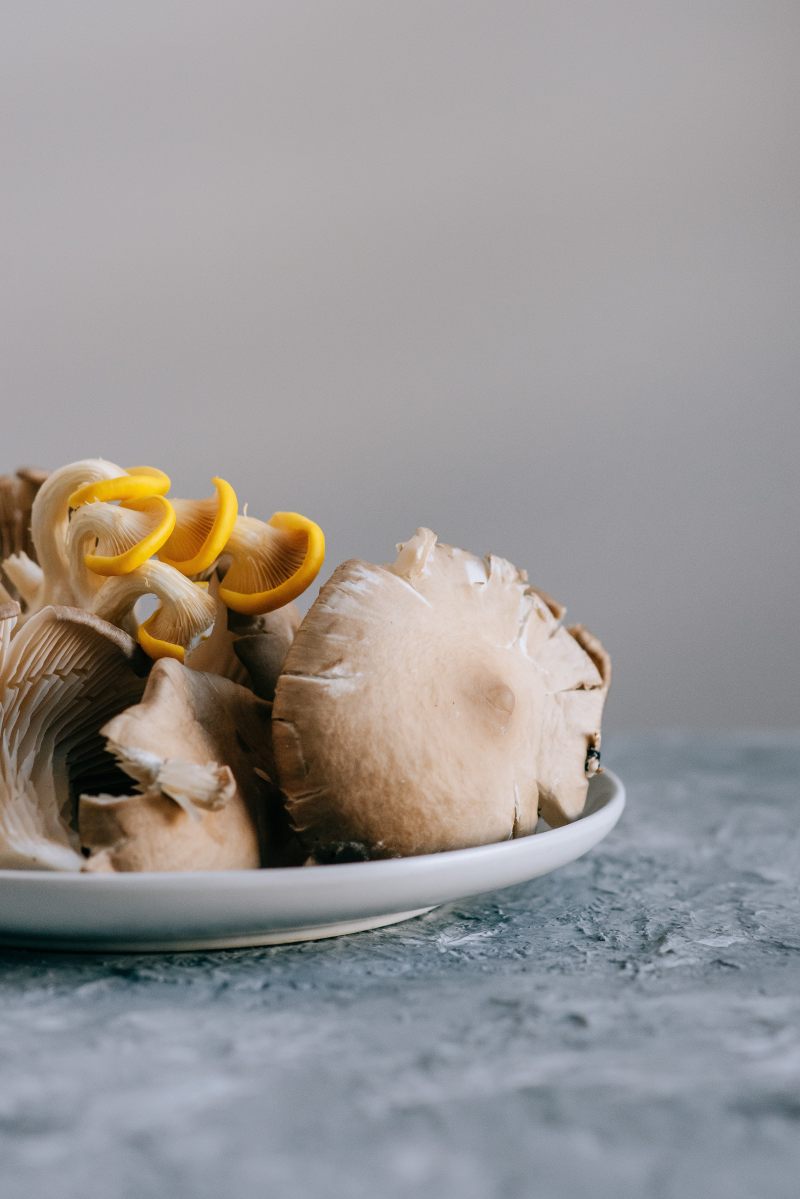 comment faire pousser des champignons une assiette pleine de champignons