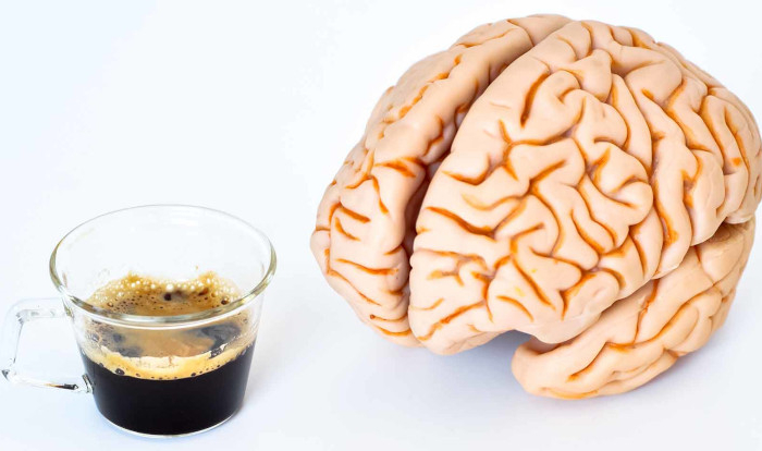 comment le cafe reagir sur le cerveau etudes