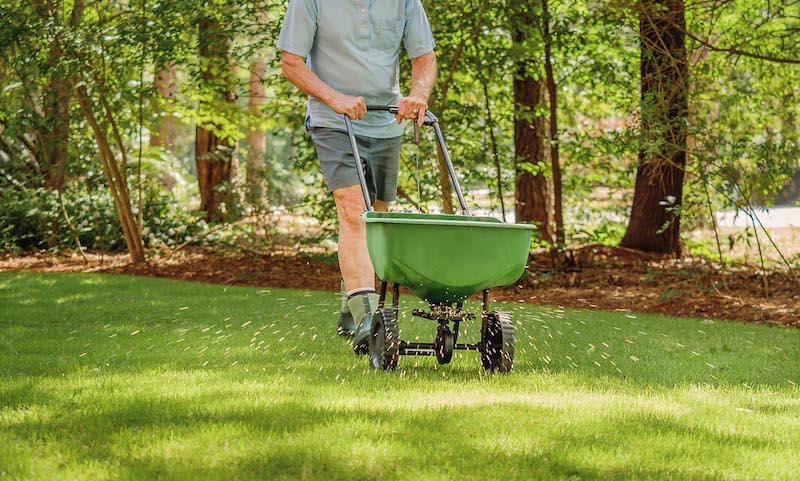 man fertilizing and seeding residential backyard lawn with manual grass fertilizer spreader.