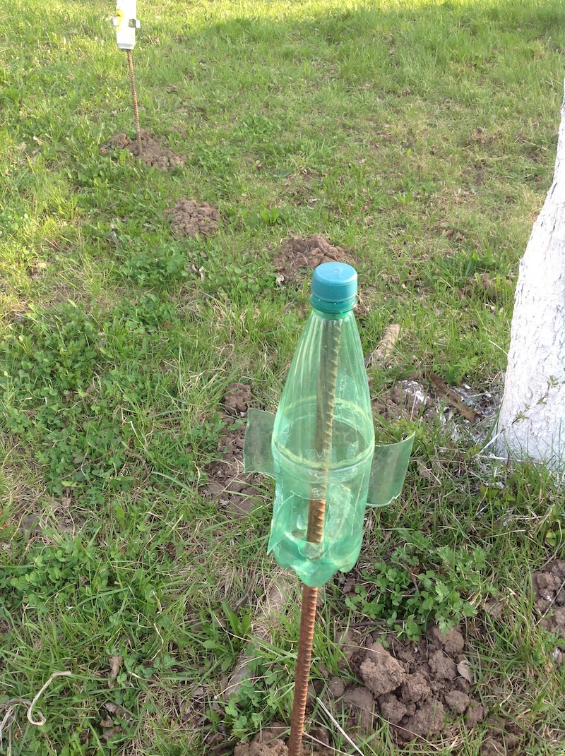 comment se debarrasser des taupes definitivement epouventail en bouteille a eau au champ