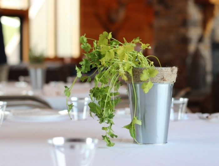 deco table avec plante aromatique herbe exposition coriandre en pot