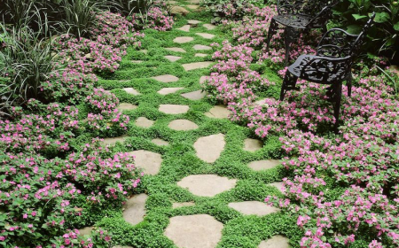 decoration jardin avec galets jardin avec des chaises pelous avec pierres et fleurs roses