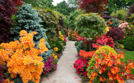 des arbustes plein soleil et sans arrosage dans un jardin de toutes les couleurs une alle au mileiu