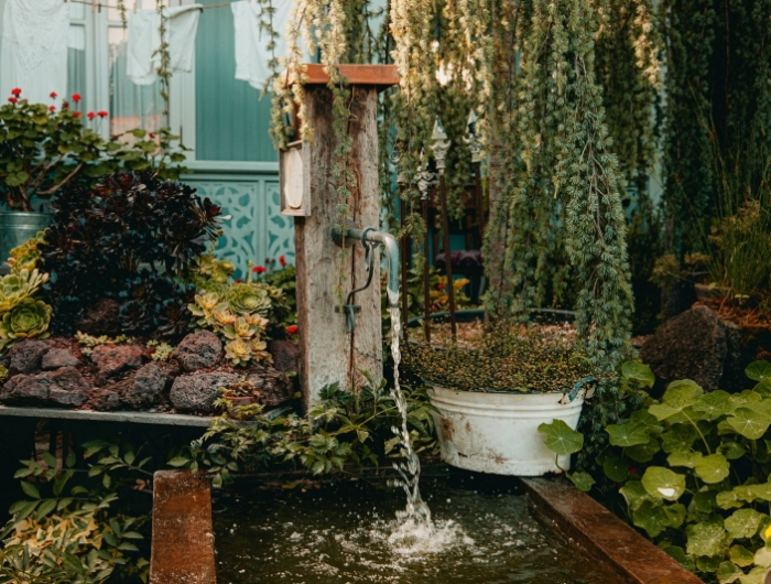 eau coulante bassin arrosage jardin arbre plantes arbustes