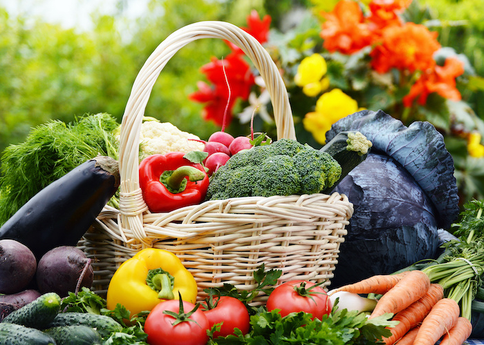 entree salade rapide assortissement de legumes dans un panier