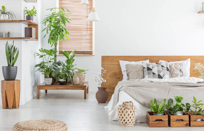 exemple de chambre à coucher design bibliophilique bois et plantes vertes linge de lit gris et blanc