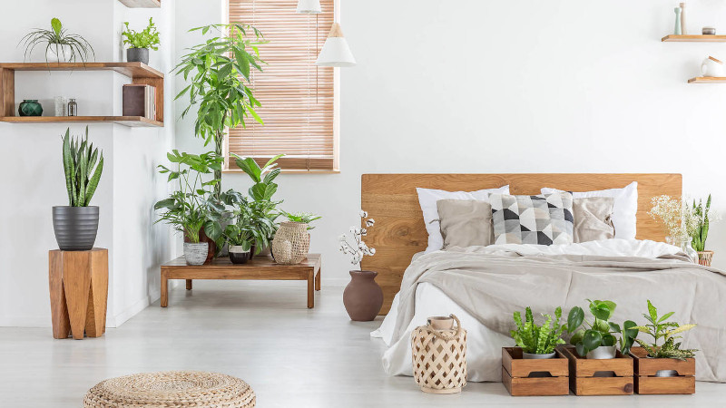 exemple de chambre à coucher design bibliophilique bois et plantes vertes linge de lit gris et blanc