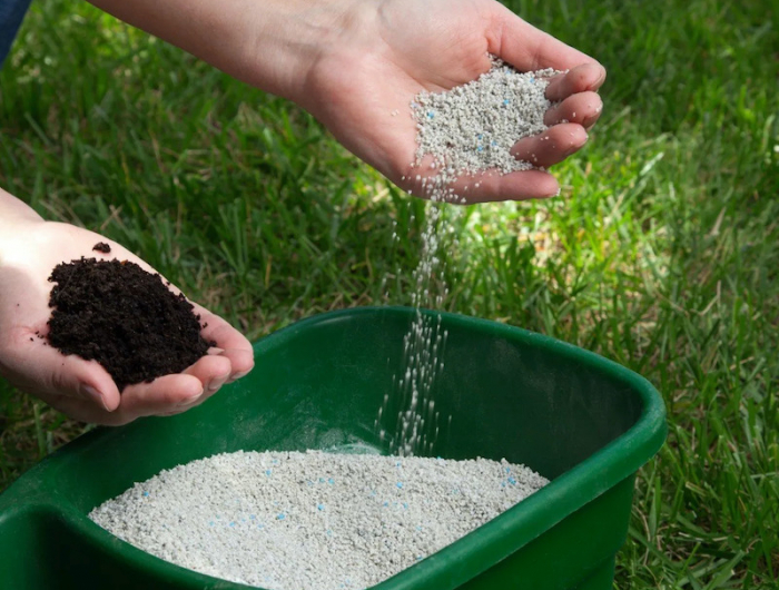 ferteliser le sol avec les bon nutriments deux mains avec des engrais pour l'herbe dans un bac vert