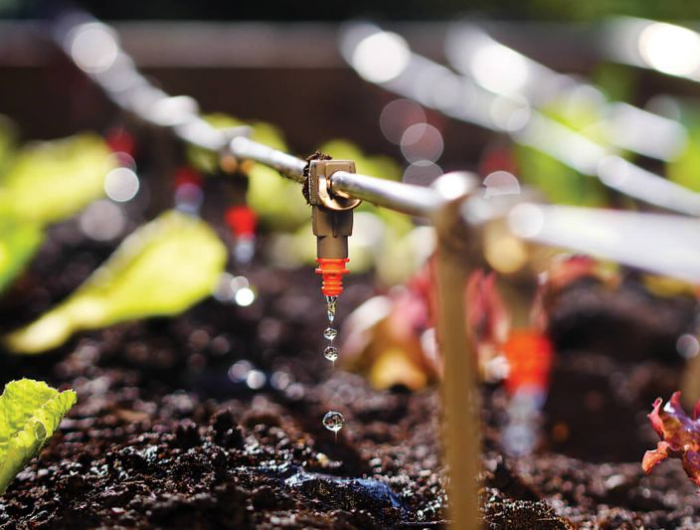 goutte a goutte jardin un systeme irrigation pour arroser vos plantes