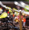 goutte a goutte jardin un systeme irrigation pour arroser vos plantes