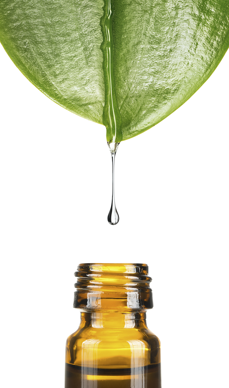 Quelle est la plus  efficace huile essentielle anti-moustique ? Les recettes miracles pour un été tout en tranquillité.