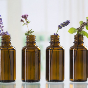 Quelle est la plus  efficace huile essentielle anti-moustique ? Les recettes miracles pour un été tout en tranquillité.
