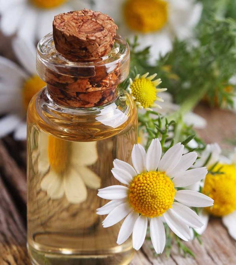 huile essentielle de camomolle fleurs balnches avec un pot en verre