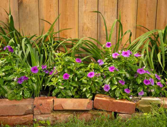 idee parterre devant maison avec des couvre sol vivaces