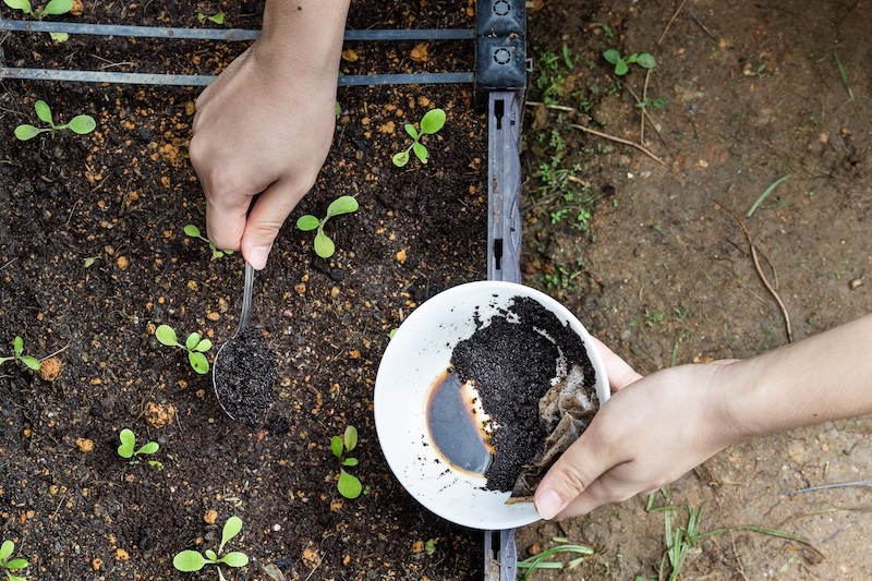 overhead,view,of,coffee,grounds,being,added,to,baby,vegetables