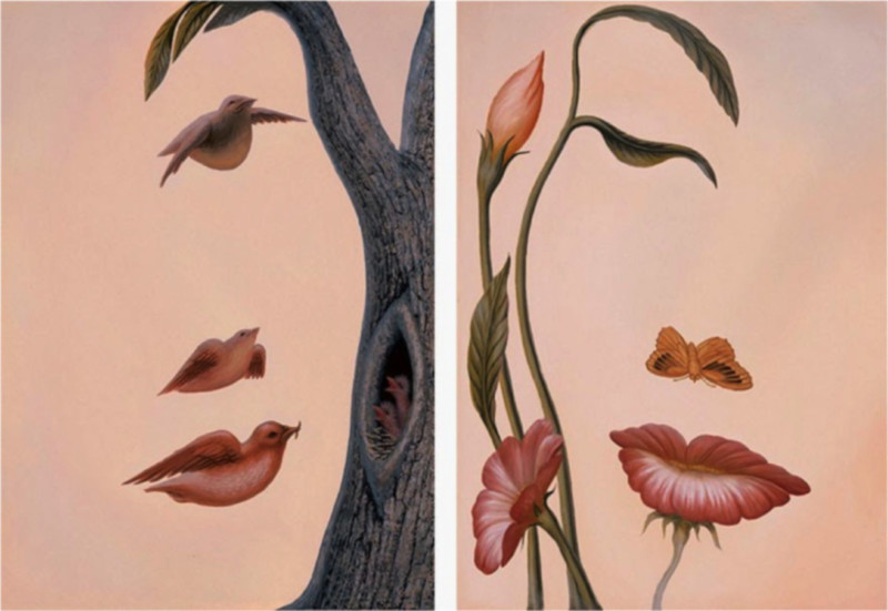image fille ou fleurs illusion silhouette de visage