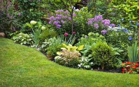 jardin avec des plantes vivaces sans entrietien gazon vert
