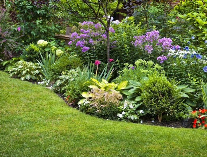 jardin avec des plantes vivaces sans entrietien gazon vert