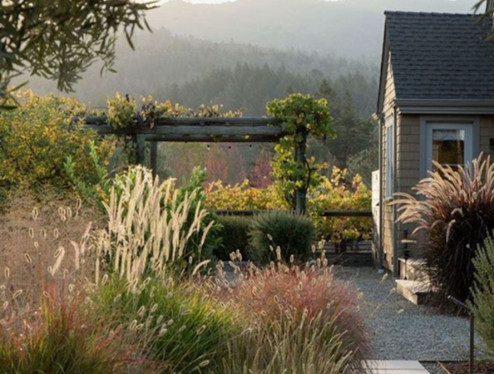 jardin naturel avec des herbes hautes et une maison