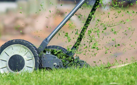 jardinage entretien pelouse utilisation fertilizant a quel moment