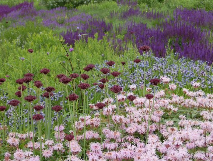 jardiniere lavande association un paysage avec des fleurs roses violettes herbes hautes vertes
