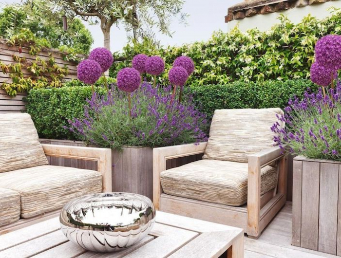 massif lavande graminées un jardin avec des fauteuils et tables en bois entoure de fleurs violettes