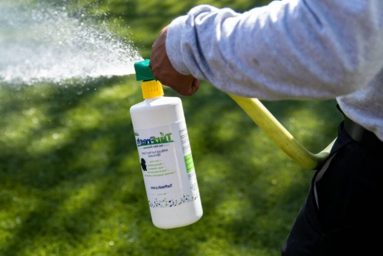 Comment nettoyer une pelouse synthétique pour garder sa fraîcheur