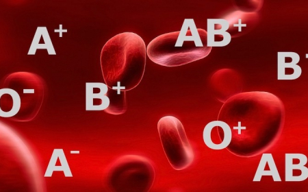 nutrition selon groupe sanguin images avec les groupes sanguins sur fond rouge