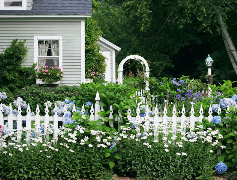 parterre devant maison sans entretien maison avec in devant tout en verdure fleurs blanches en premier plan