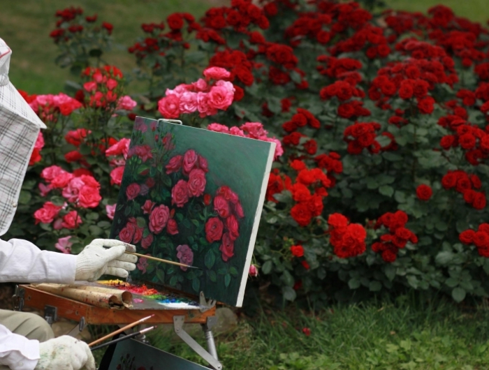 peinture nature plante pour massif arbuste rosier rouge pinceau