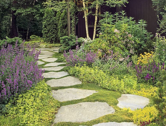 plante couvre sol persistant sans entretien une allee avec des dalles entoure de fleurs vertes et violettes