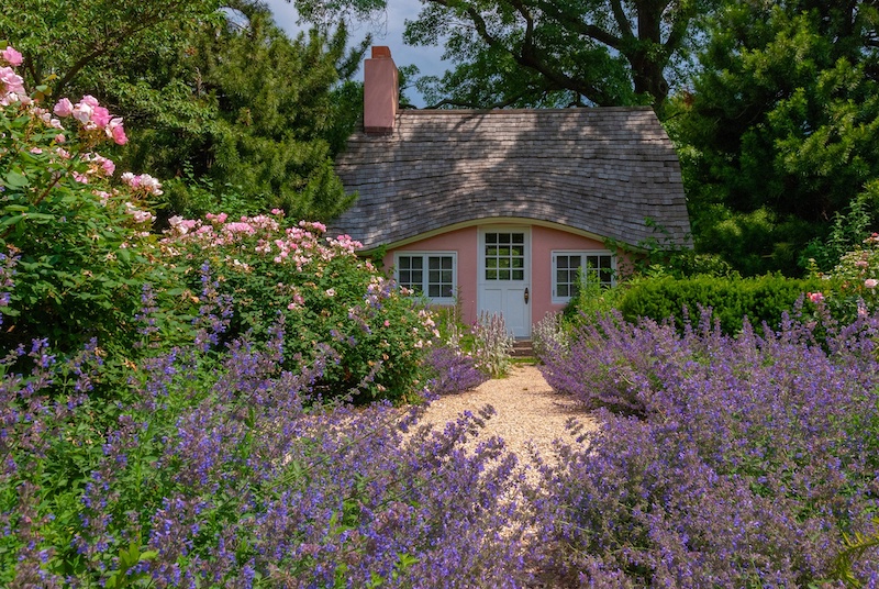 plante pour massif moderne maison rose avec fleurs violettes devant et une allee en cailloux