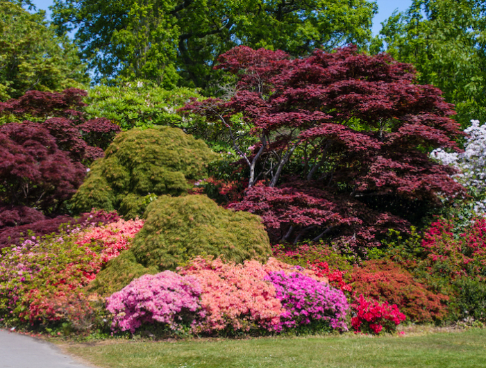 plantes vivaces plein soleil sans arrosage jardin avec des fleurs de differentes couleurs