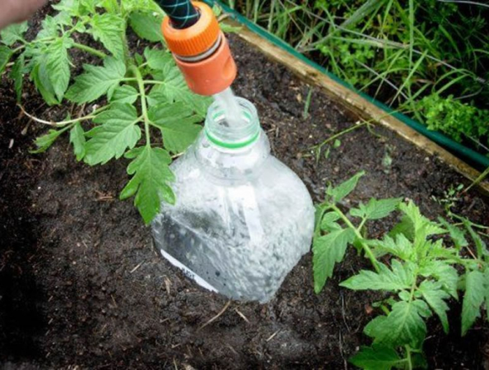 système d arrosage goutte à goutte jardin comment avoir une belle récolte de tomates