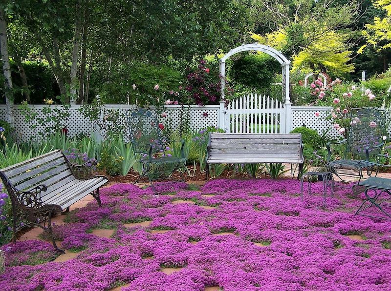 tapis de pelouse en couleur rose jardin avec un banc