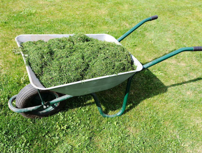 gardening season green lawn with wheelbarrow