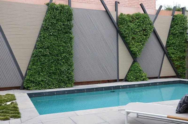 comment realiser un mur vegetal exterieur mur romboides pres dune piscine