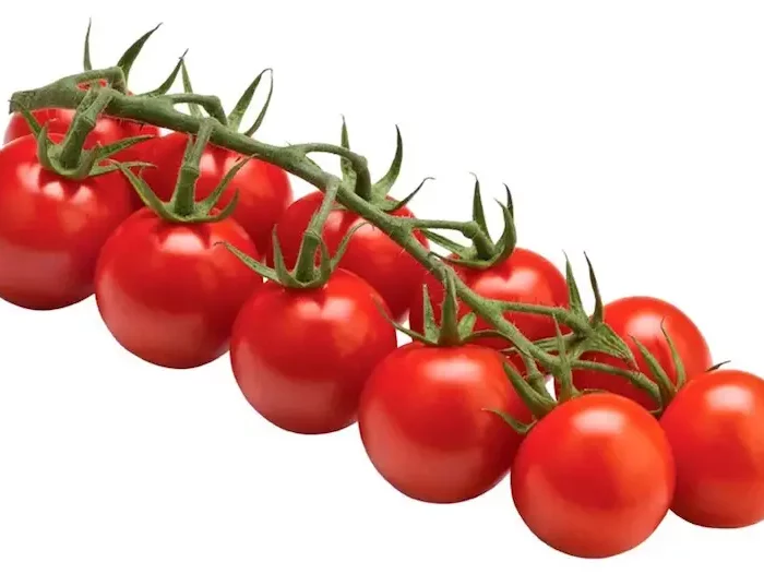 est il trop tard pour planter des tomates brin de tomates cerise