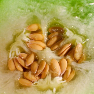 Que faire avec des graines de melon ? Bienfaits et recettes rapides zéro waste