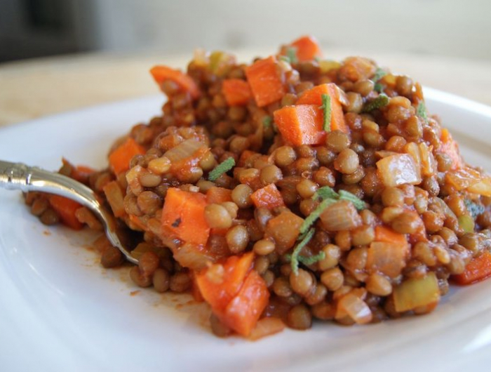 quels sont les aliments qui peuvent remplacer la viande plat aux lentilles avec carottes et oignon en assiette blanche