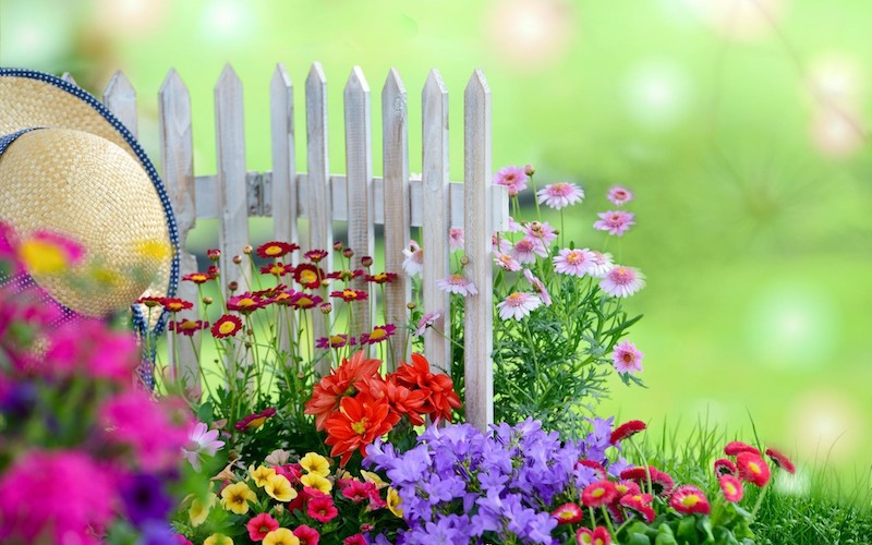 arbuste plein soleil longue floraison un jardin d ete avec un chapeau et une cloison blanche des vivaces fleuries