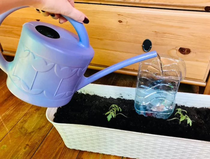 arrosage de plantes avec bouteille d eau en plastique