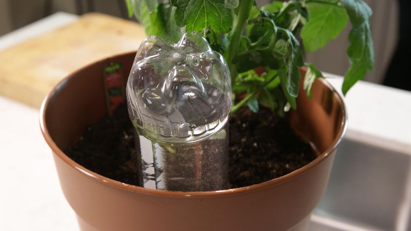 arrosage geranium goutte a goutte avec une bouteille d eay dans un pot