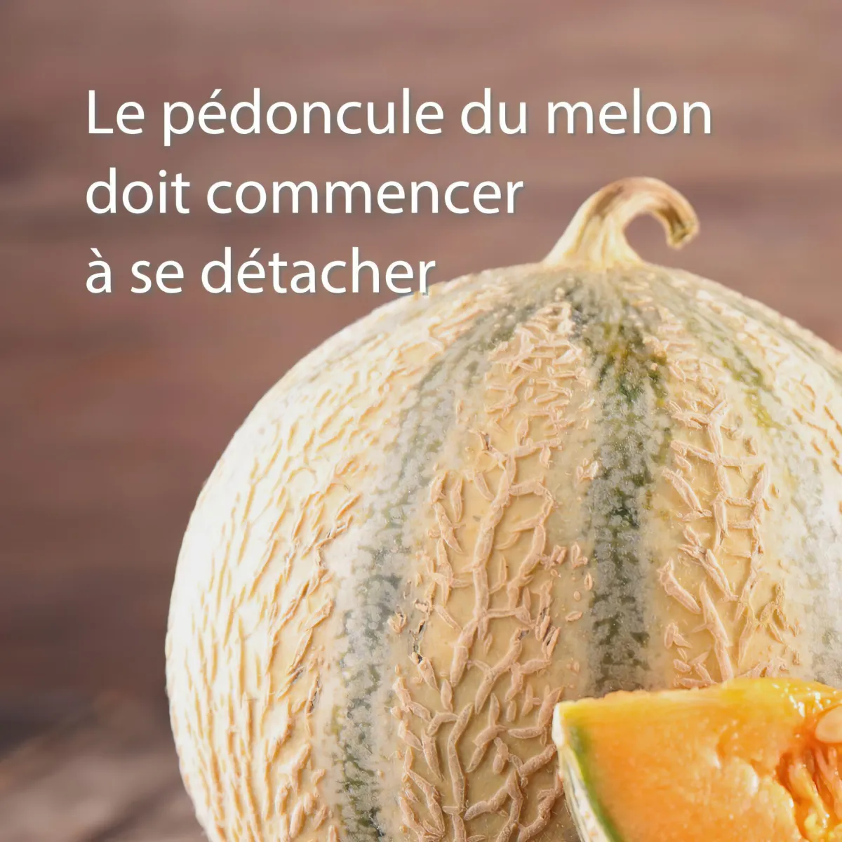 astuce pour choisir un fruit mur verifier le pedoncule