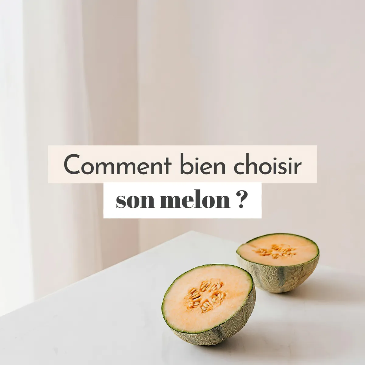 astuces et conseils pour bien choisir ses melons