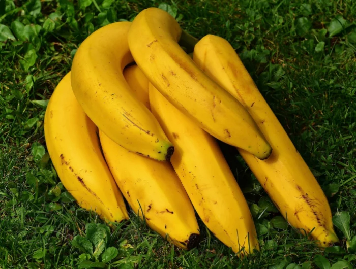bananes mures peau brune gazon herbe nature fruits