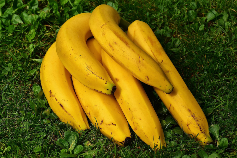 bananes mures peau brune gazon herbe nature fruits